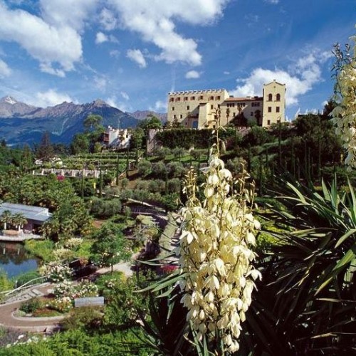 Botanischer Garten